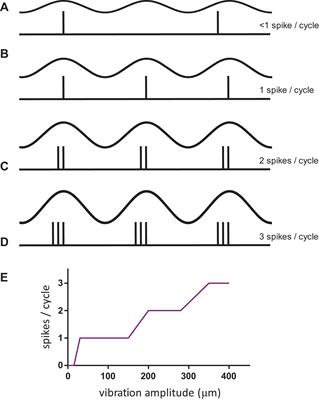 Tapping Into the Language of Touch: Using Non-invasive Stimulation to Specify Tactile Afferent Firing Patterns